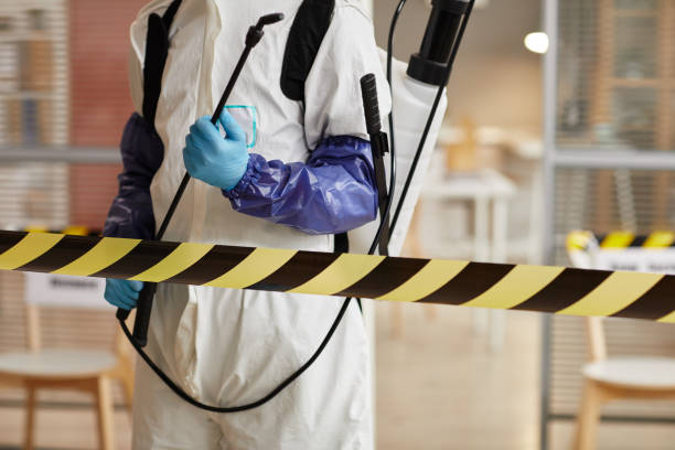 Professional Biohazard technician working in Fellows, CA