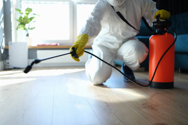 Reliable Biohazard contractor in Fellows, CA by Dulley Family Biohazard Services